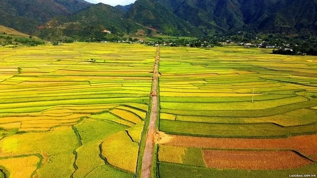 Thả hồn vào khung cảnh nên thơ của ruộng bậc thang tại Lai Châu