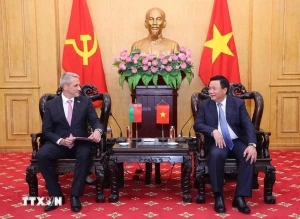 Vietnam eyes enhancing theoretical exchanges with Azerbaijan, Belarus