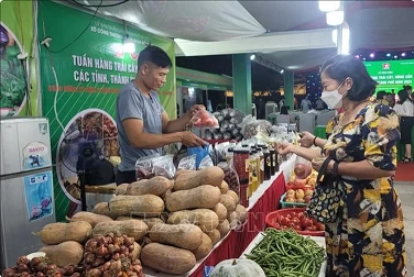 Fruit, farm produce week kicks off in Hanoi