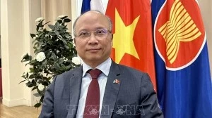 Vietnam reaffirms highest commitment to Francophonie community’s development: Ambassador