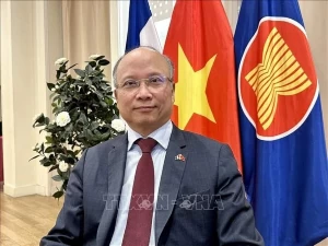 Vietnam reaffirms highest commitment to Francophone community&rsquo;s development: ambassador