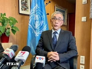 Vietnam - a prime example of effective cooperation with UNESCO: Official