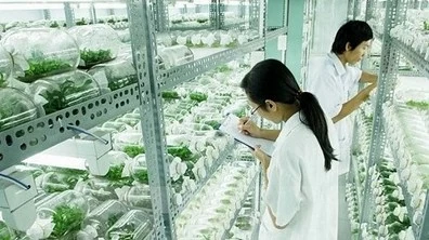 Hanoi to open High-Tech Biological Park in Bac Tu Liem: PM Decision