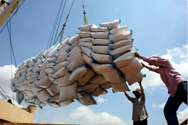 Vietnam's rice export turnover up 23.5% in nine months