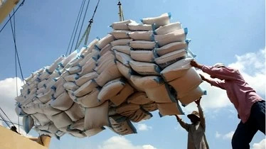 Vietnam's rice export turnover rises 23.5% in nine months