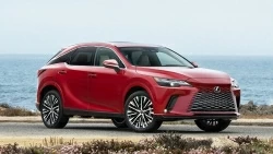 Cập nhật bảng giá xe hãng Lexus mới nhất tháng 10/2024