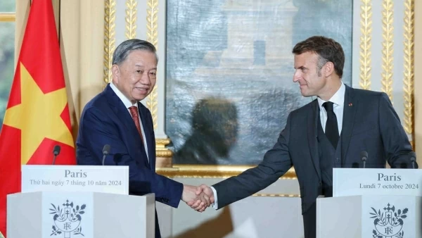 Upgrade of Vietnam-France ties brings huge potential for cooperation: French Ambassador