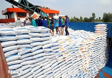 Indian expert suggests ways for Vietnam to boost rice exports