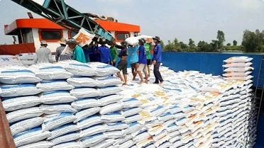 Indian expert suggests tips for Vietnam to boost rice exports