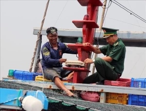 Phu Yen ramps up efforts to combat IUU fishing