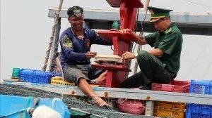 Phu Yen ramps up efforts to combat IUU fishing