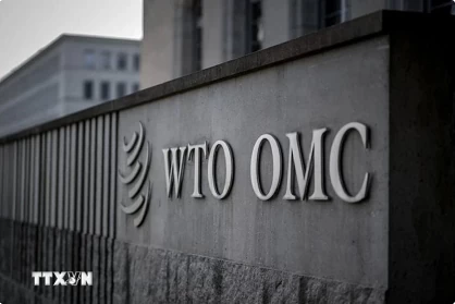 WTO highlights Vietnam&rsquo;s role in restructuring of global supply chains