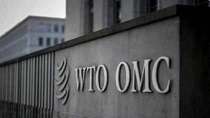 WTO highlights Vietnam in restructuring of global supply chains: Global Trade Outlook and Statistics