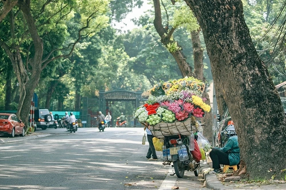 Dự báo thời tiết ngày 13/10: Bắc Bộ sương mù, nắng hanh, Nam Bộ mưa rào