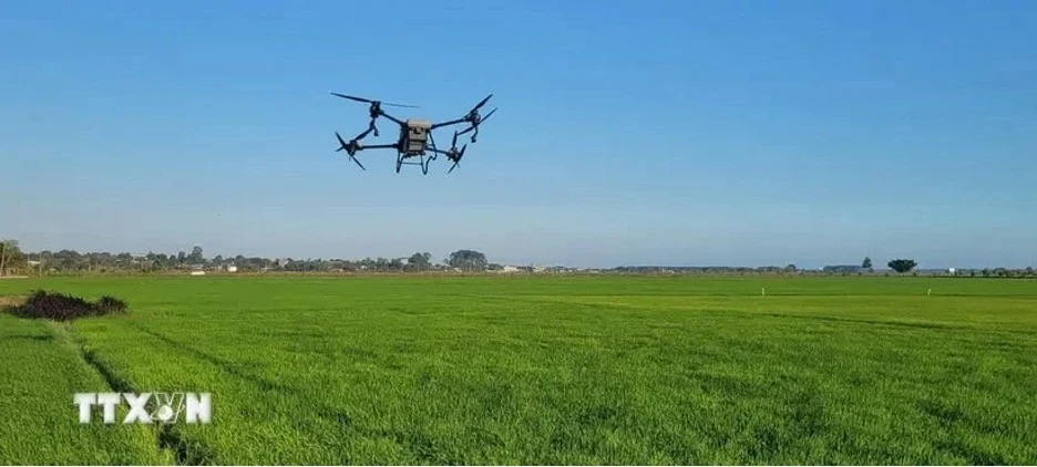 Digital transformation in agriculture faces several barriers. (Photo: VNA)