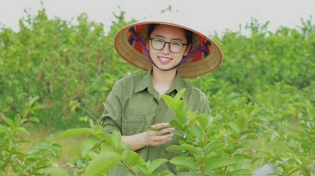 Cô gái Hải Dương biến lá ổi thành 'vàng xanh' trên đất mẹ