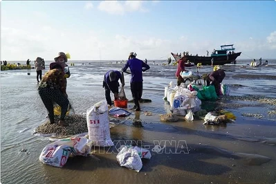 Ben Tre calls on investors to coastal areas