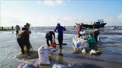 Ben Tre Province calls on investors to its coastal areas