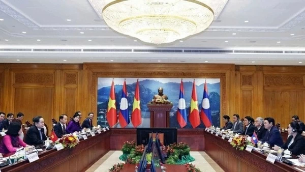 Vietnam, Laos top legislators hold talks in Vientiane