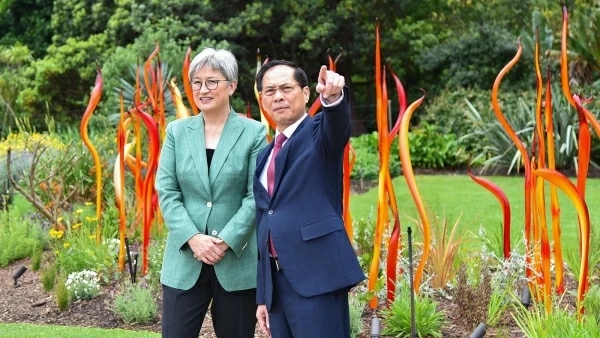 Phó Thủ tướng, Bộ trưởng Ngoại giao Bùi Thanh Sơn và Bộ trưởng Ngoại giao Australia Penny Wong đi dạo Vườn thực vật Adelaide