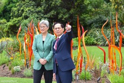 Phó Thủ tướng, Bộ trưởng Ngoại giao Bùi Thanh Sơn và Bộ trưởng Ngoại giao Australia Penny Wong đi dạo Vườn thực vật Adelaide