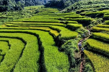 Vietnam Jungle Marathon welcomes runners from around the world