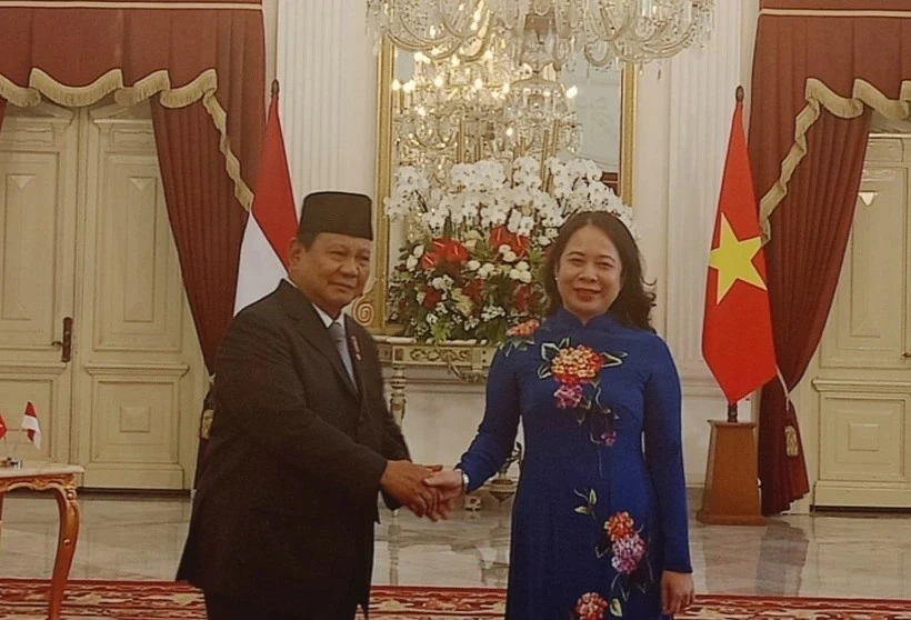 Vice President Vo Thi Anh Xuan meets with Indonesian President Prabowo Subianto