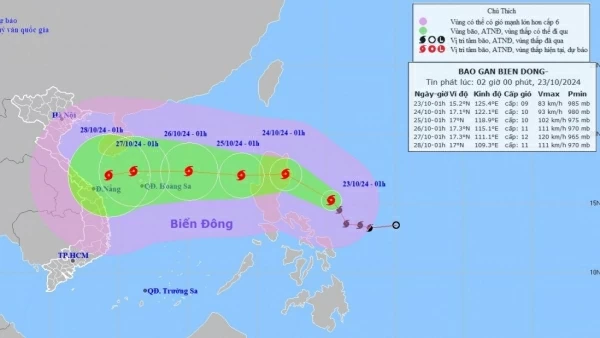 Dự báo bão Trà Mi: Vùng tâm bão gió giật cấp 11, di chuyển theo hướng Tây Bắc, có khả năng mạnh thêm