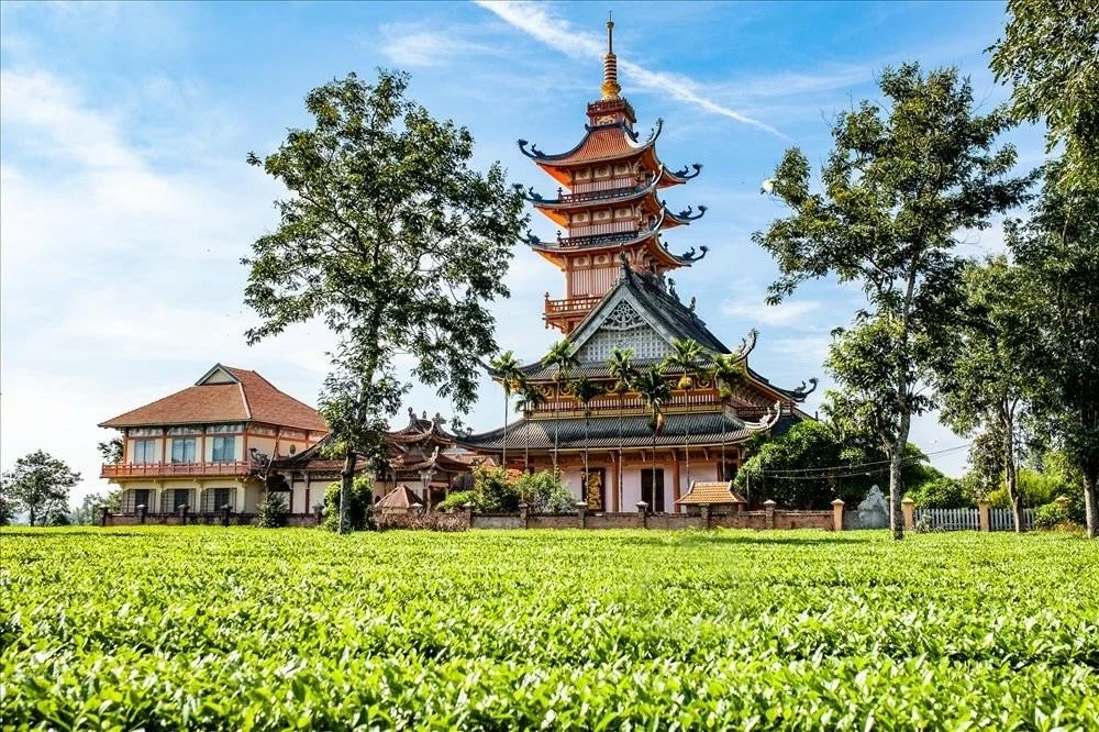 Du lịch Gia Lai: 6 điểm đến không thể bỏ lỡ ở Chư Păh, gần TP. Pleiku Du lịch Gia Lai: 6 điểm đến không thể bỏ lỡ ở Chư Păh, gần TP. Pleiku
