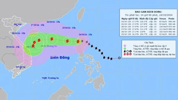 Dự báo ảnh hưởng của bão Trà Mi: Vùng biển phía Đông khu vực Bắc Biển Đông, tâm bão gió cấp 9-10, sóng cao 5-7m