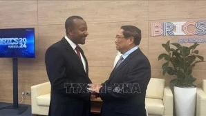 Prime Minister Pham Minh Chinh meets with Kazakh, Turkmen, Ethiopian leaders