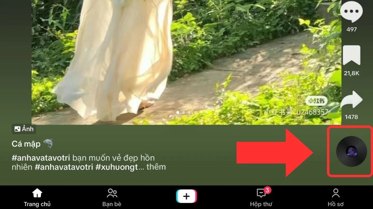 Bật mí 7 cách tìm nhạc trên TikTok dễ dàng và nhanh chóng Bật mí 7 cách tìm nhạc trên TikTok dễ dàng và nhanh chóng