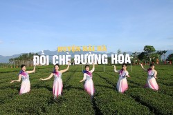 Lễ hội trà Đường Hoa (Quảng Ninh): Phát triển thương hiệu trà hơn 60 năm tuổi