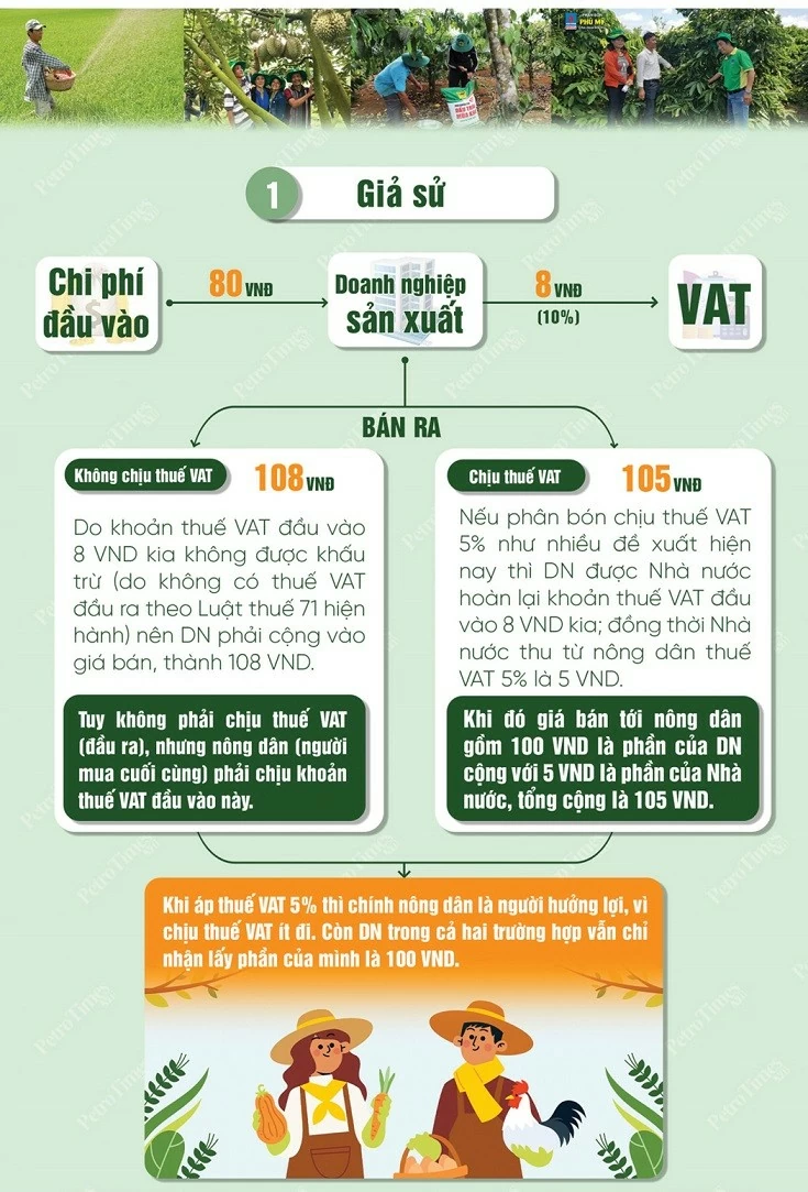 PetroVietnam phân tích nghịch lý trên thị trường phân bón: Tại sao áp thuế giá trị gia tăng 5% giá lại giảm?