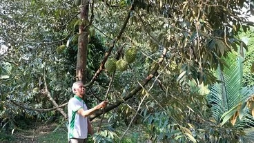 Tien Giang Province works to green up agricultural sector