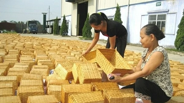 Bamboo and rattan weaving village in Hanoi’s Phu Tuc recognized as tourist destination