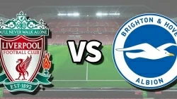 Nhận định Liverpool vs Brighton, 22h00 ngày 2/11 - Vòng 10 Ngoại hạng Anh