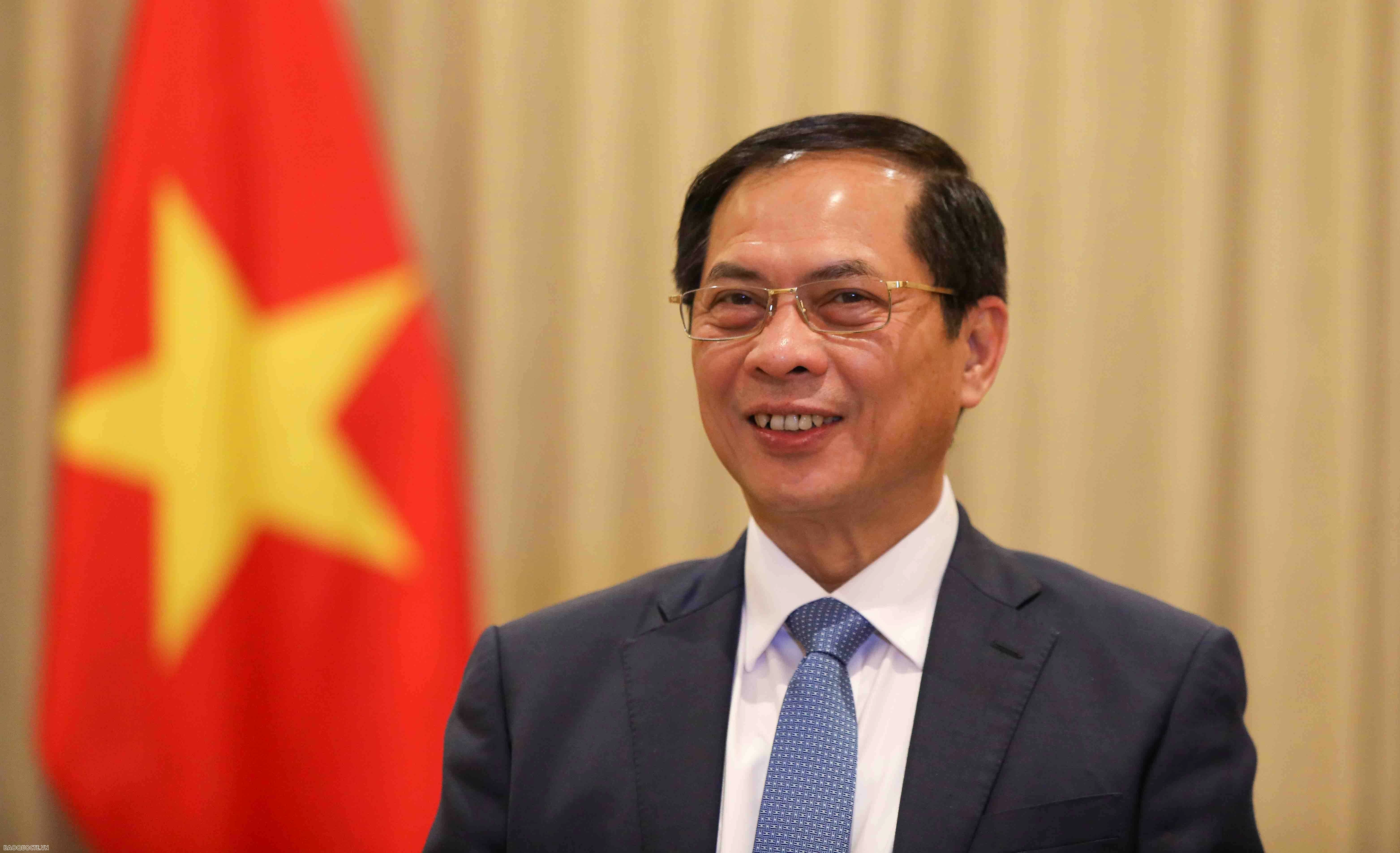 PM's visits to three Middle East countries produces important outcomes: Deputy PM and FM Bui Thanh Son