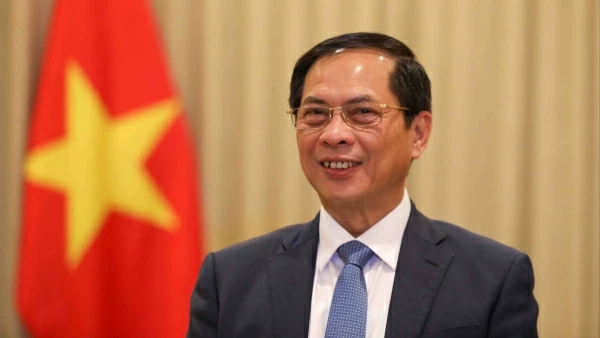 PM's visits to three Middle East countries produces important outcomes: Deputy PM and FM Bui Thanh Son