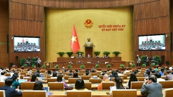 Ministers provide plans for education, labour, agriculture at 15th NA’s eighth session