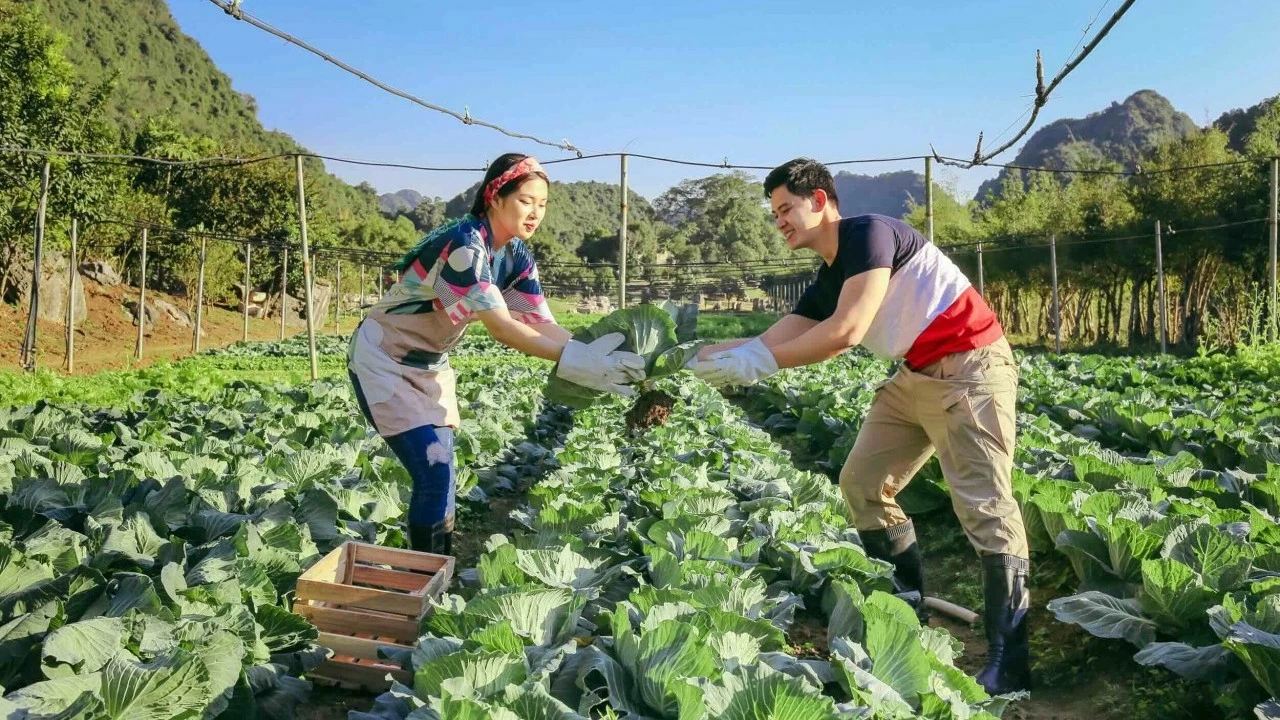 Thung Nham: Bức tranh thiên nhiên sống động trong lòng Tràng An