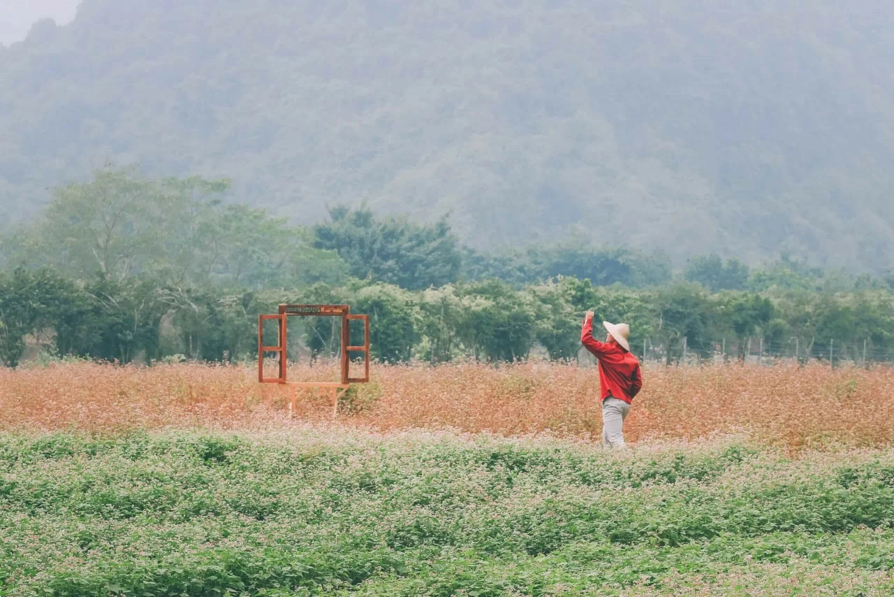 Thung Nham: Bức tranh thiên nhiên sống động trong lòng Tràng An