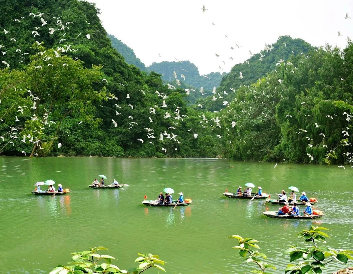 Thung Nham: Bức tranh thiên nhiên sống động trong lòng Tràng An