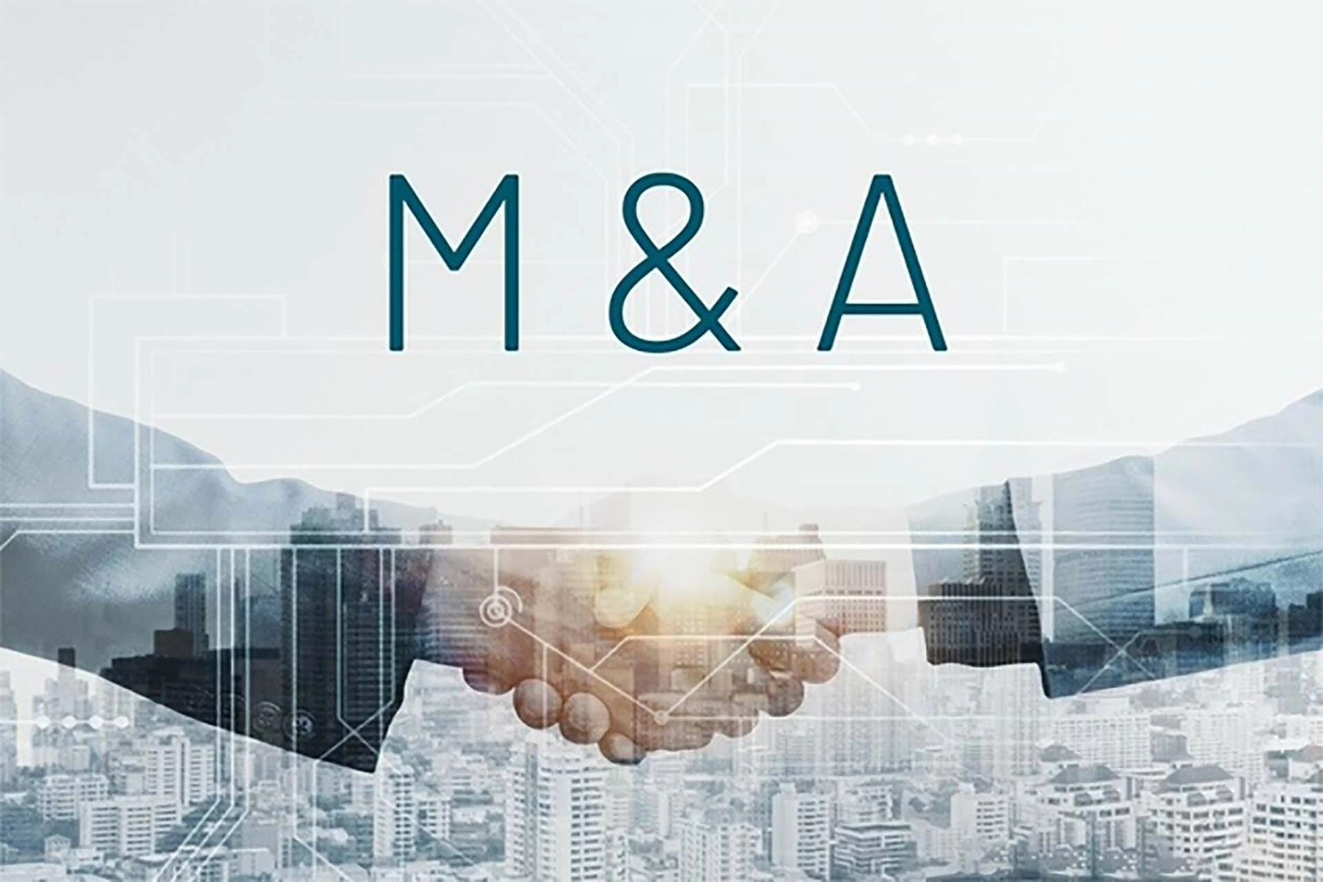 Tận dụng M&A để thúc đẩy ngành thực phẩm Halal của Việt Nam Tận dụng M&A để thúc đẩy ngành thực phẩm Halal của Việt Nam