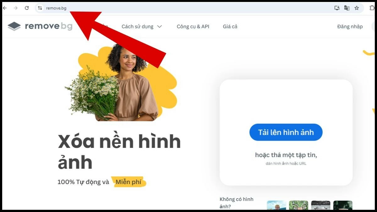 Hướng dẫn sử dụng Remove BG xóa phông ảnh online tiện lợi