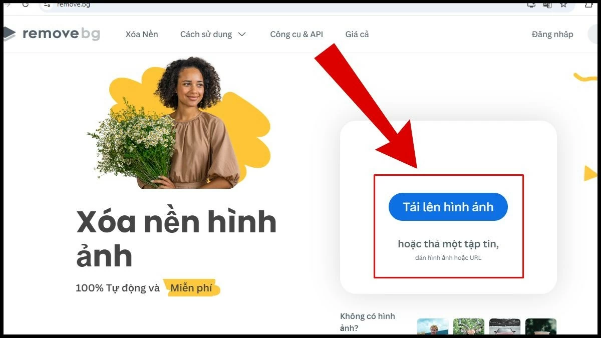 Hướng dẫn sử dụng Remove BG xóa phông ảnh online tiện lợi