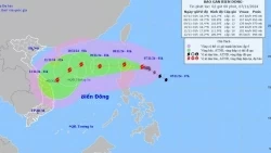 Dự báo ảnh hưởng của bão Yinxing: Phía Đông khu vực Bắc Biển Đông gió cấp 6-7, từ đêm 7/11, sóng cao 6-8m