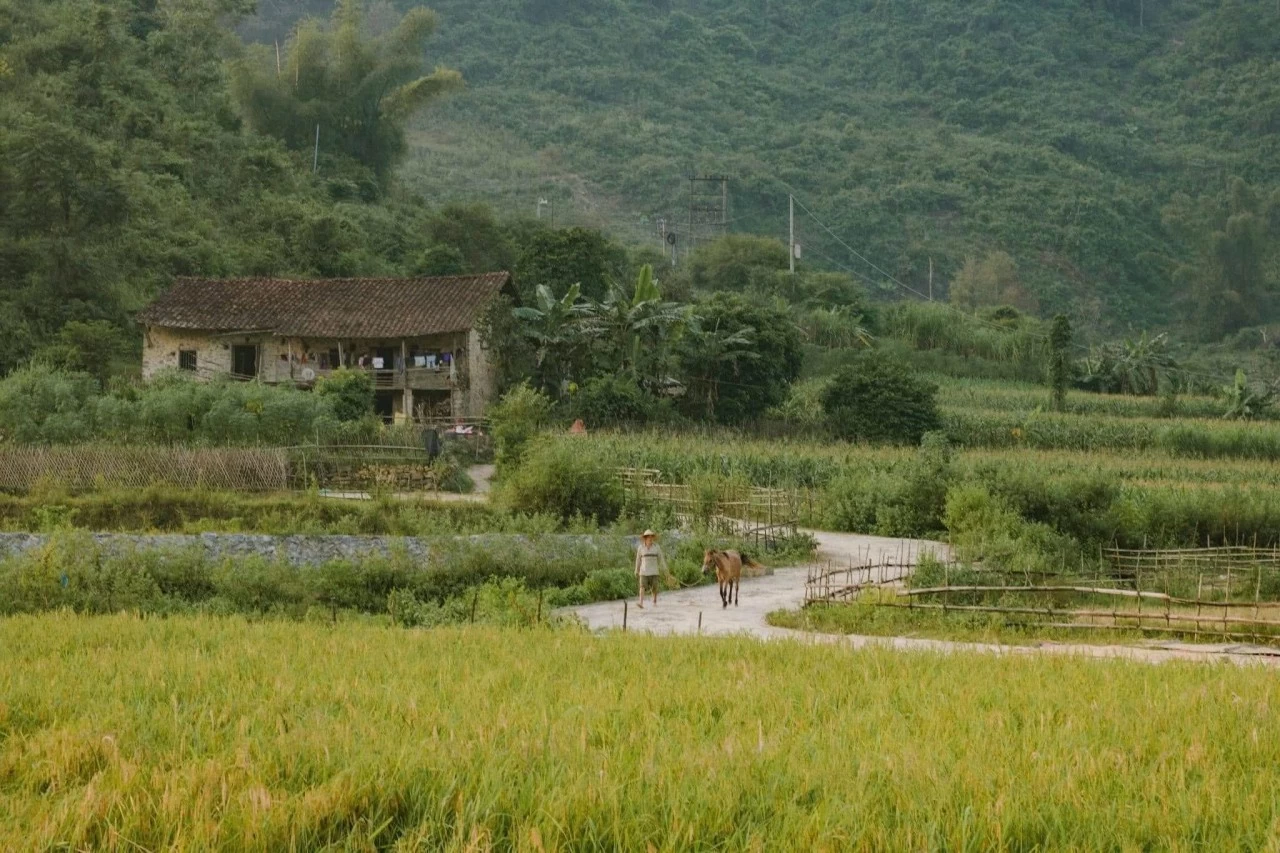 Trùng Khánh: Vùng biên viễn yên bình, thơ mộng giữa non nước Cao Bằng