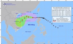 Dự báo bão số 7: Trên vùng biển phía Đông khu vực Bắc Biển Đông, gió giật cấp 17, sau có thể đổi hướng di chuyển và giảm dần cường độ