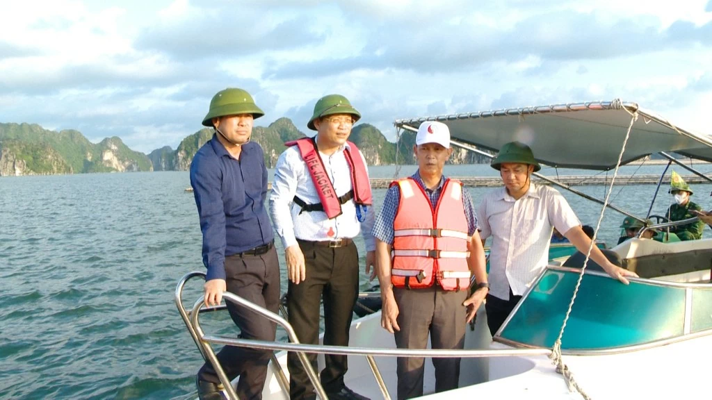 Gỡ 'thẻ vàng' IUU: Quảng Ninh chung tay cùng cả nước bảo vệ uy tín, vị thế, hình ảnh của quốc gia